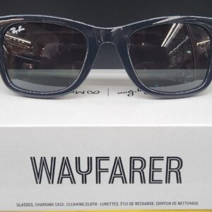 Rayban Meta_Polarized1002